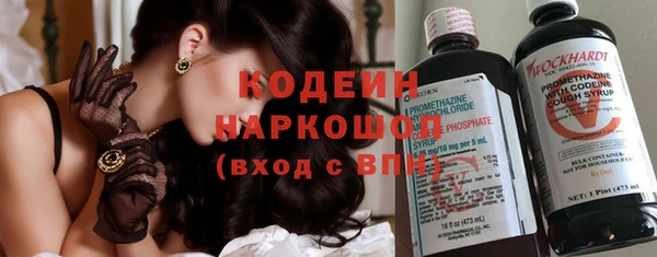 эйфоретик Вяземский