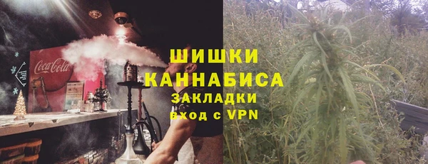 эйфоретик Вяземский