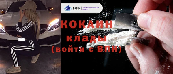 эйфоретик Вяземский