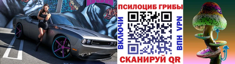 Галлюциногенные грибы мухоморы  даркнет официальный сайт  Камбарка  магазин   